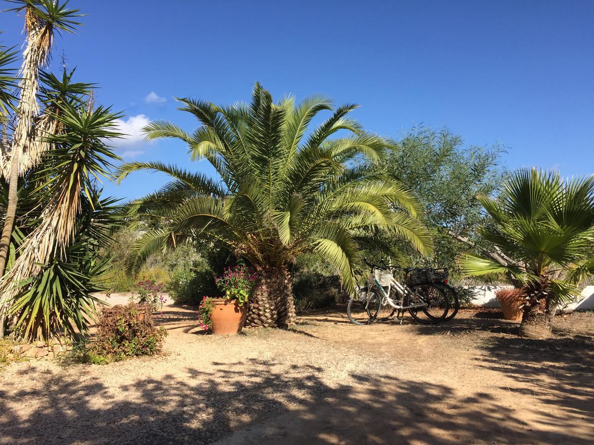 Apartamentos Laura Playa De Migjorn 外观 照片